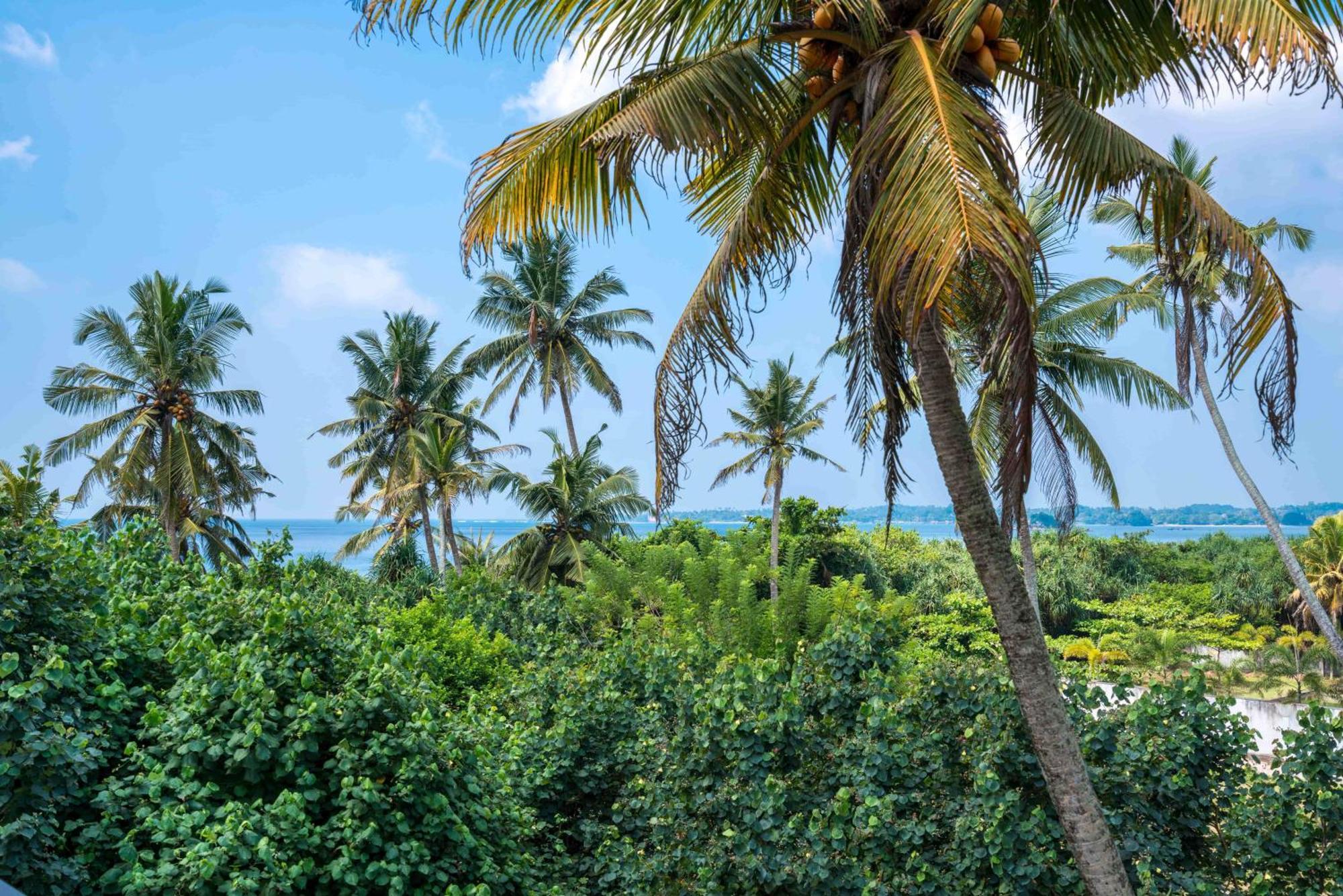 Outpost Weligama Beachfront Pokój zdjęcie